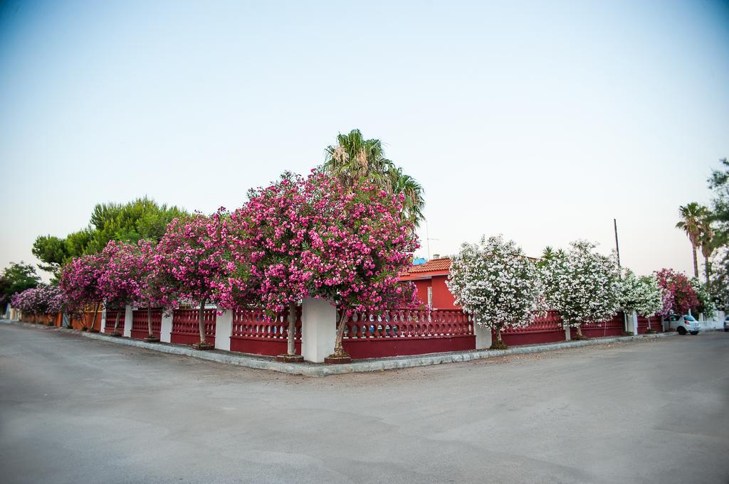 Villa Gisella Punta Prosciutto Chambre photo