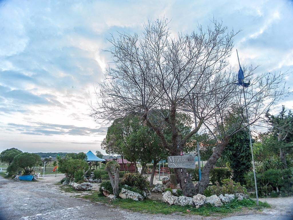 Villa Gisella Punta Prosciutto Extérieur photo
